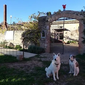 Mas Del Llop Blanc - Dog Friendly Rural - Bed and breakfast